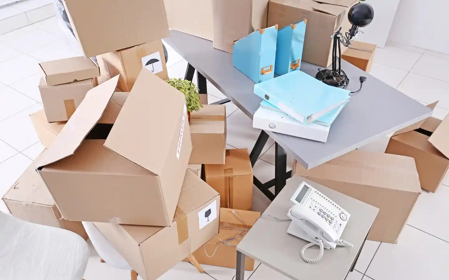 Office Shifting